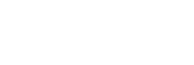 Veneto Case